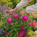 Guardião de Flores Invisível: Suporte Premium Anti-Tempestade 🌷🛡️