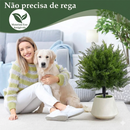 Árvore de Cedro Ornamental Artificial Premium Com Estaca  – Decoração de Luxo para Varandas e Jardins - Varanda de Revista!anda de Revista e Beleza Eterna!