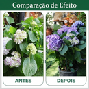 Guardião de Flores Invisível: Suporte Premium Anti-Tempestade 🌷🛡️